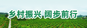 村落振兴 阔步前行